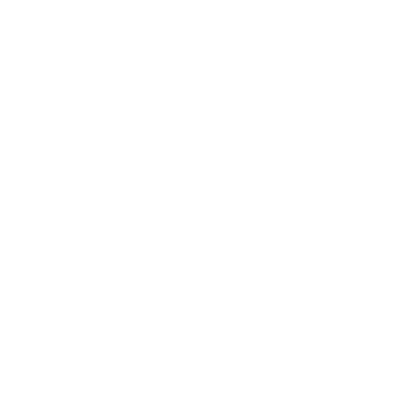 Heaps of Flowers - Lost Kiwi Designs