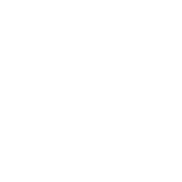 Heaps of Flowers - Lost Kiwi Designs