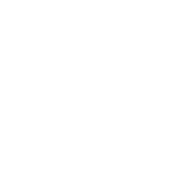 Jungle Leaf 2 - Lost Kiwi Designs