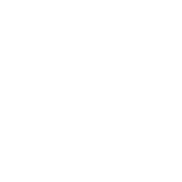 Leaf Tropical - Lost Kiwi Designs