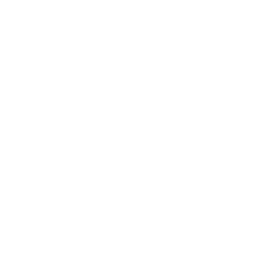 Organic Circle - Lost Kiwi Designs
