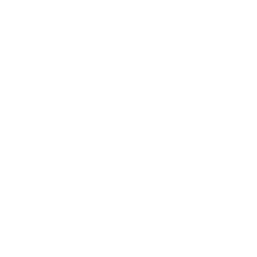 Palm Trunk - Lost Kiwi Designs