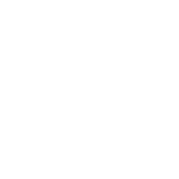 Palm Trunk - Lost Kiwi Designs