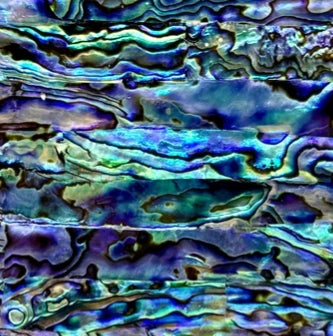 Paua Shell Laser Sheet - Lost Kiwi Designs