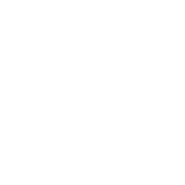 Circle Personality - Lost Kiwi Designs