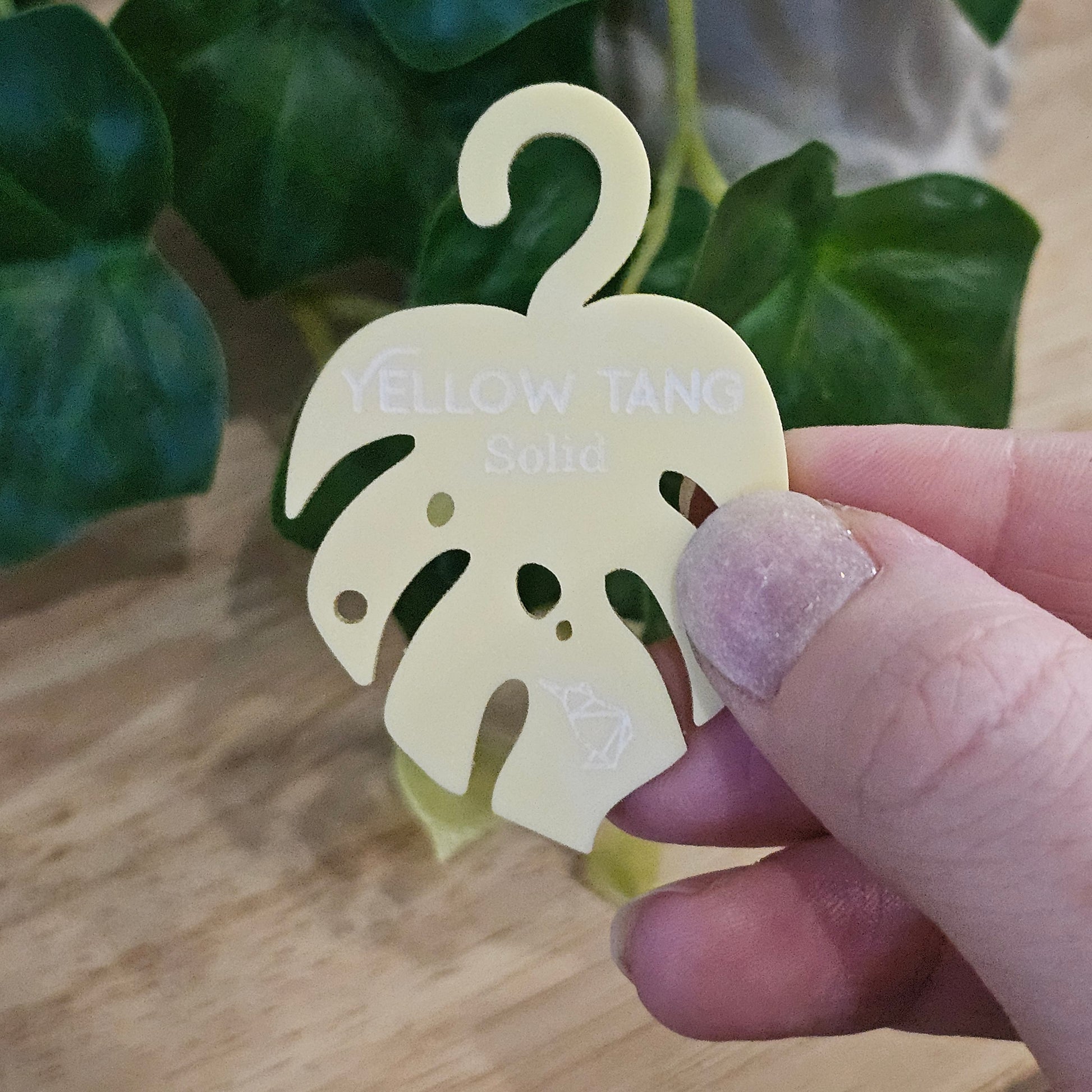 Solid Materials - Lost Kiwi Designs