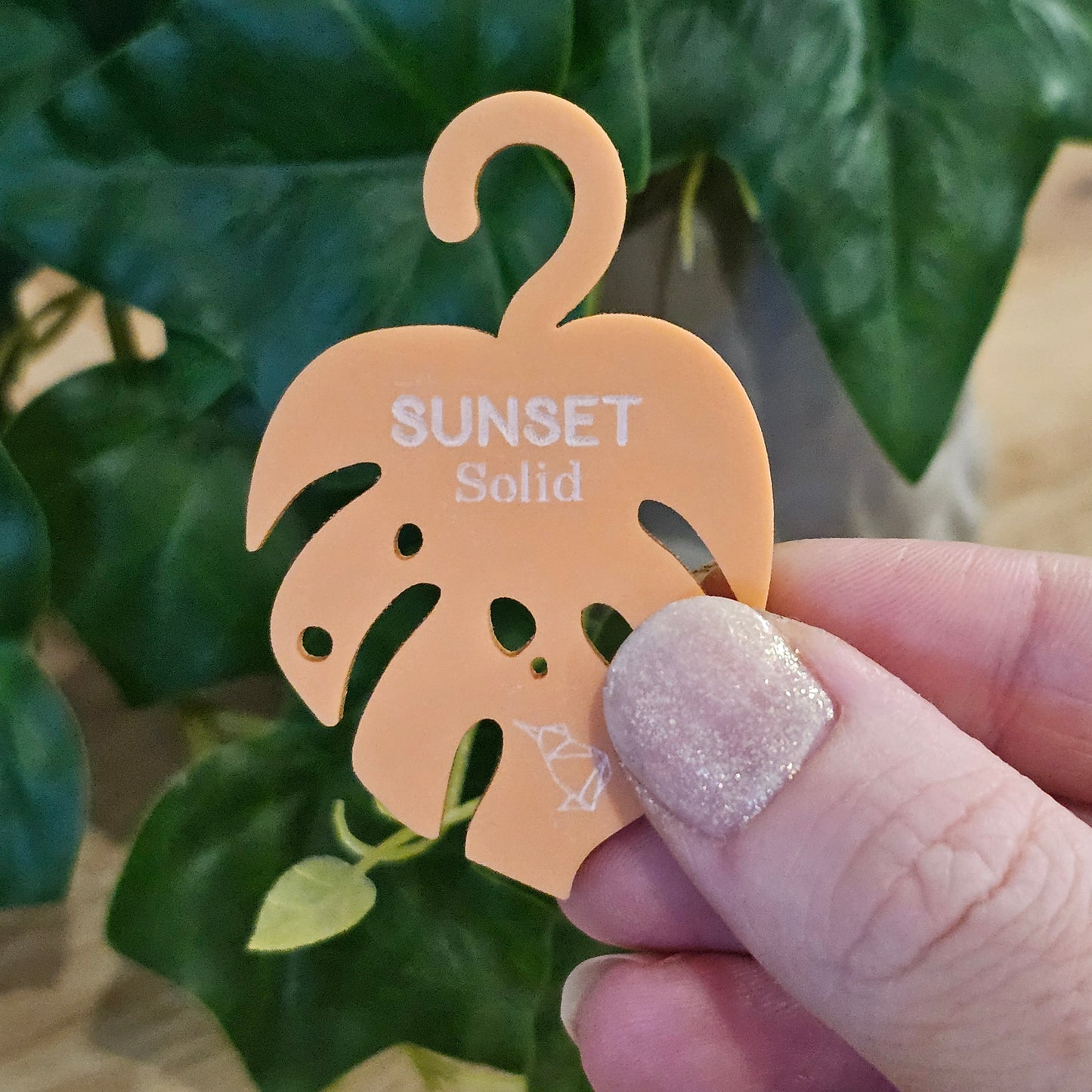 Solid Materials - Lost Kiwi Designs