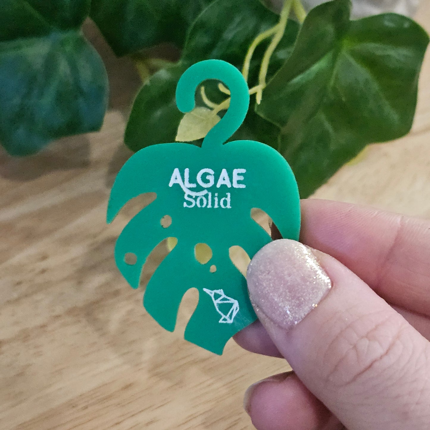 Solid Materials - Lost Kiwi Designs