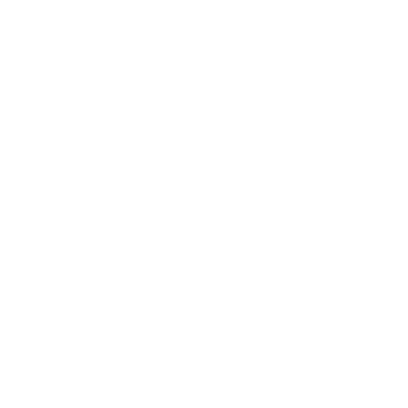 Rose Window - Lost Kiwi Designs