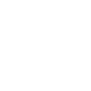 Sakura - Lost Kiwi Designs