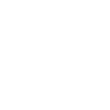 Shell - Lost Kiwi Designs