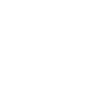 Shell - Lost Kiwi Designs