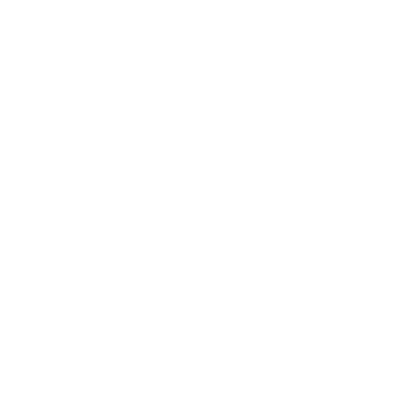 Snake - Lost Kiwi Designs