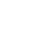 Star - Lost Kiwi Designs