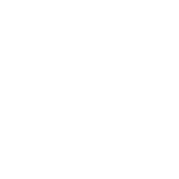 Star - Lost Kiwi Designs