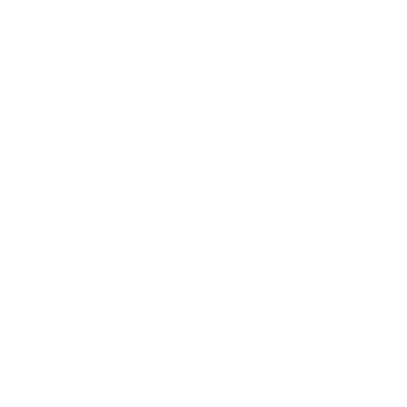 Star - Lost Kiwi Designs