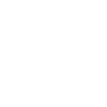 Statement Mix - Lost Kiwi Designs