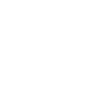 Temple - Lost Kiwi Designs