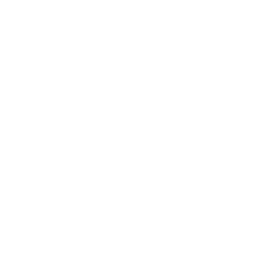 Trendy Shapes - Lost Kiwi Designs