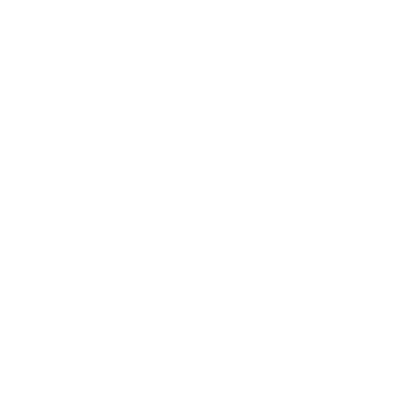 Trendy Shapes - Lost Kiwi Designs