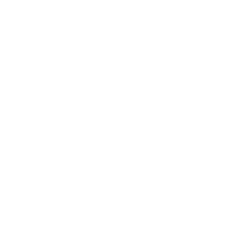 T-Rex - Lost Kiwi Designs