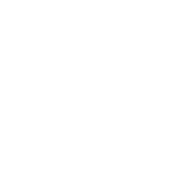 Trolley Token - Lost Kiwi Designs