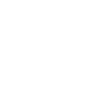 Unicorn - Lost Kiwi Designs