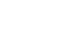 Lost Kiwi Designs