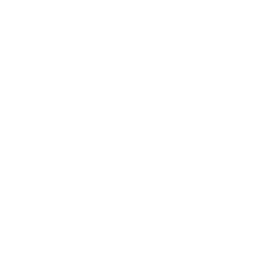 Wide Fern - Lost Kiwi Designs