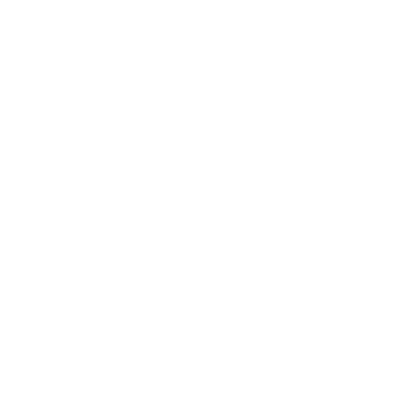 Wide Fern - Lost Kiwi Designs